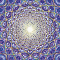 N,N-Dimethyltryptamine