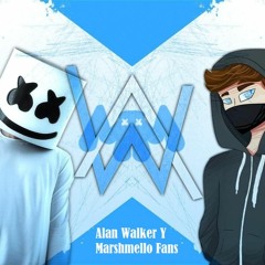 Alan Walker & Marshmello Fans