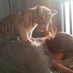 That.Cat.Named.Shelby