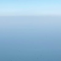 오준성