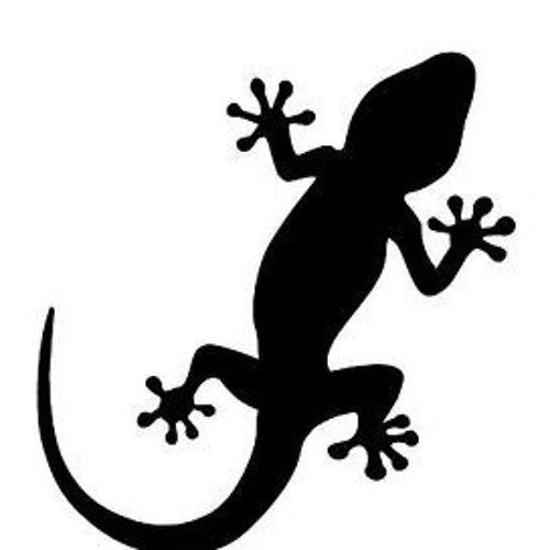 how-to-use-gecko-cheat-codes-dolphinlasopa