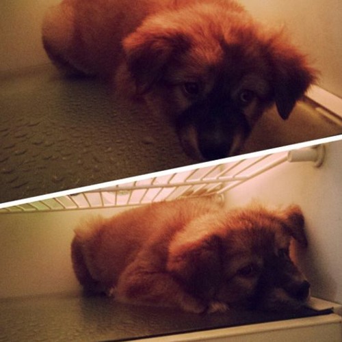 Goodness of Yah V1 to C