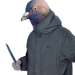 كنت فاجوت