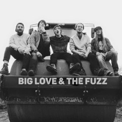 Big Love & the Fuzz