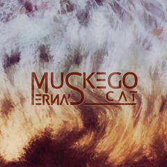 Muskego Erna's Cat
