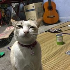 สุริยนต์ ศิริดล