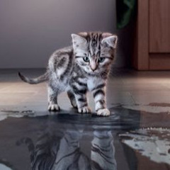 Aniekmariyani Mariyani