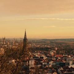 Fallen Leaves - Billy Talent - Ringtone