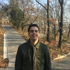 Ahmed Fekri Karsoon