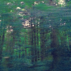 Views of the Canicular Season