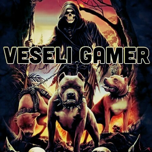 Veseli Gamer’s avatar