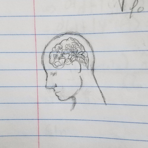 Table Song (Katie Kuffel Cover)