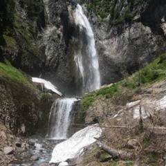 Dayanå Melgar