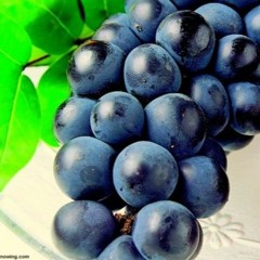 SPICY-GRAPE-JUICE™