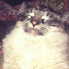 🅻🅾🆅🅴 & 🆆🆄🅱🆉