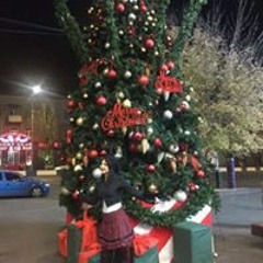 رومینا قربانی