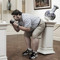 Harry_Luke_Duke
