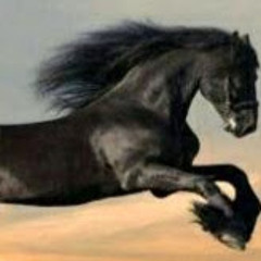 abdo mostafa