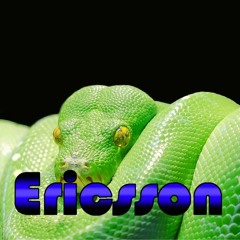 Ericss0n WIllI