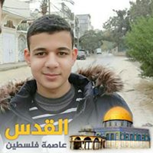 أحمد جهاد أحمد’s avatar