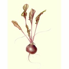 DJ JoAlien a.k.a. Future Beatminton