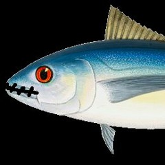 tuna