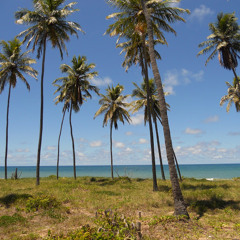 Marcio ssp