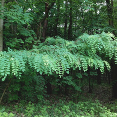 Destination Infinity