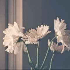 Ola ِAbdulaziz