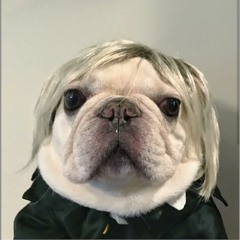 KODO