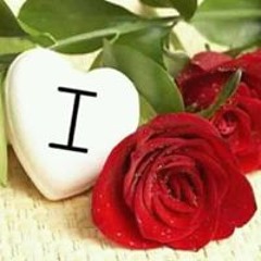 Kirarakari Katakarin