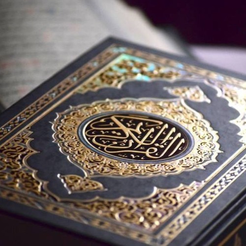 القارئ الشاب طارق محمد يبدع من جديد