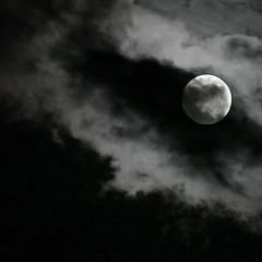 creatureofthenight666