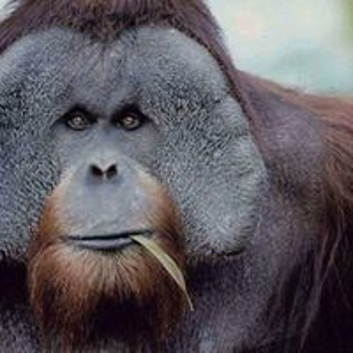 Homm - 4-the - Mountain - Song - Heroes - Of - Might - And - Magic - 4 (eeeFM.com)