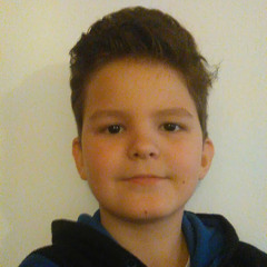 Lupu Laurian David