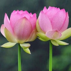 Myanmar Songs