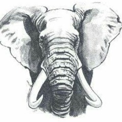 Batsi