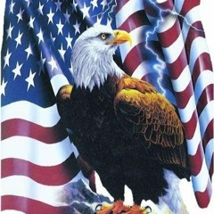 Rockin' Eagle