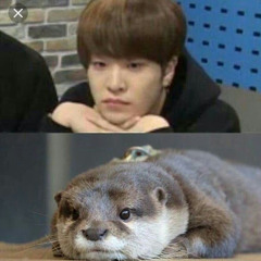 KPOP RANDOM DANCE CHALLENGE