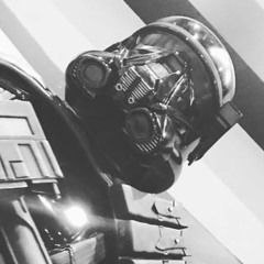Veil Trooper