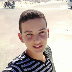 Mohammed El Goushy