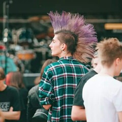 Steven Punk