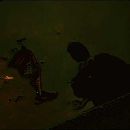 EP Man’s avatar