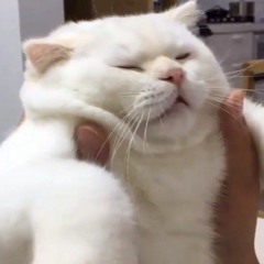 dan_kissss