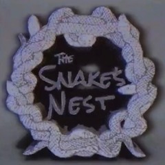 THE SNAKE'S NEST