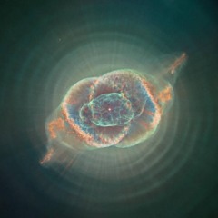 Dweller on Level Fields