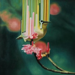 Wardrobe Malfunction