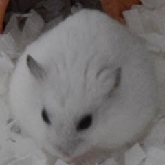 林育晟