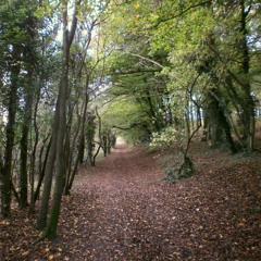 Catapult Music (East Yorkshire UK)