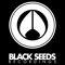 Black Seeds Recordings